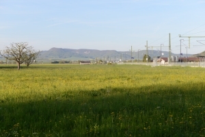 ZuKön2016-001